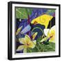 Bird Of Paradise-Cindy Wider-Framed Giclee Print