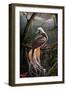 Bird of Paradise-Greg Farrugia-Framed Giclee Print