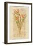 Bird of Paradise-Cheri Blum-Framed Art Print