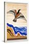 Bird of Portent, an Illustration from 'L'Odyssee', by Homer, Translated by Victor Berard, 1929-33-Francois-Louis Schmied-Stretched Canvas