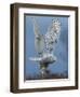 Bird of Prey-Art Wolfe-Framed Photographic Print