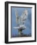 Bird of Prey-Art Wolfe-Framed Photographic Print