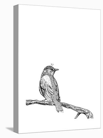 Bird on a Branch-null-Stretched Canvas