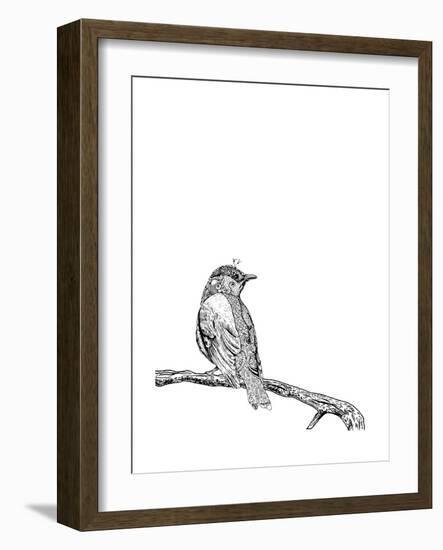 Bird on a Branch-null-Framed Art Print