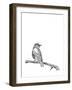 Bird on a Branch-null-Framed Art Print