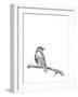 Bird on a Branch-null-Framed Art Print