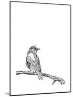 Bird on a Branch-null-Mounted Art Print