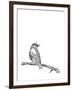 Bird on a Branch-null-Framed Art Print