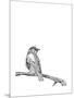 Bird on a Branch-null-Mounted Art Print