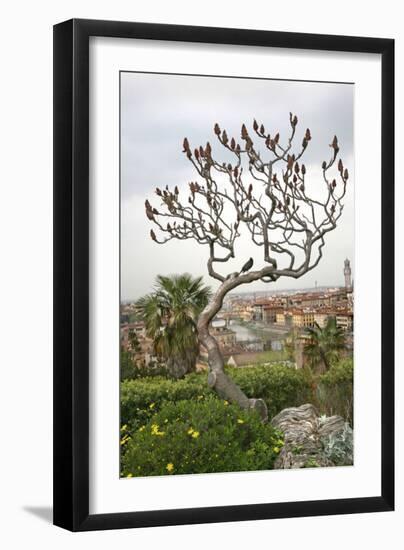 Bird on a Dante Tree, Florence-Igor Maloratsky-Framed Art Print