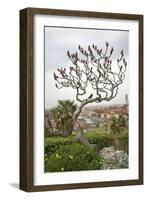 Bird on a Dante Tree, Florence-Igor Maloratsky-Framed Art Print