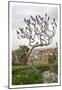 Bird on a Dante Tree, Florence-Igor Maloratsky-Mounted Art Print