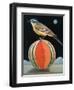 Bird on a Melon-ELEANOR FEIN-Framed Premium Giclee Print