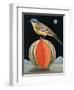 Bird on a Melon-ELEANOR FEIN-Framed Premium Giclee Print