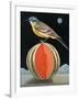 Bird on a Melon-ELEANOR FEIN-Framed Giclee Print