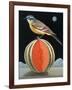 Bird on a Melon-ELEANOR FEIN-Framed Giclee Print