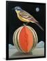 Bird on a Melon-ELEANOR FEIN-Framed Giclee Print