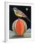 Bird on a Melon-ELEANOR FEIN-Framed Giclee Print