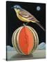 Bird on a Melon-ELEANOR FEIN-Stretched Canvas