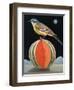 Bird on a Melon-ELEANOR FEIN-Framed Giclee Print