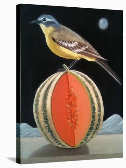 Bird on a Melon-ELEANOR FEIN-Stretched Canvas