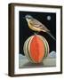 Bird on a Melon-ELEANOR FEIN-Framed Giclee Print
