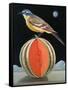 Bird on a Melon-ELEANOR FEIN-Framed Stretched Canvas