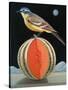Bird on a Melon-ELEANOR FEIN-Stretched Canvas