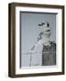 Bird on a Post-Rusty Frentner-Framed Giclee Print