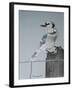 Bird on a Post-Rusty Frentner-Framed Premium Giclee Print