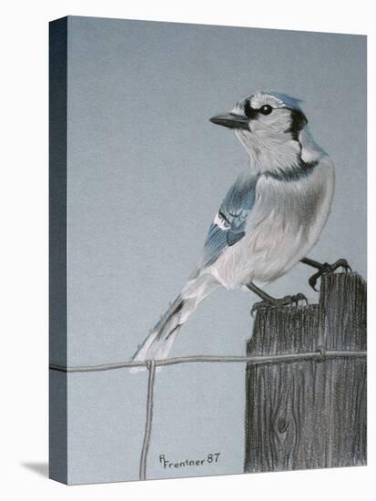 Bird on a Post-Rusty Frentner-Stretched Canvas