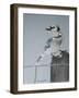 Bird on a Post-Rusty Frentner-Framed Giclee Print