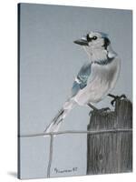 Bird on a Post-Rusty Frentner-Stretched Canvas