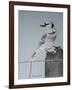 Bird on a Post-Rusty Frentner-Framed Giclee Print