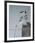 Bird on a Post-Rusty Frentner-Framed Giclee Print