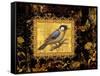 Bird on Black Background-Maria Rytova-Framed Stretched Canvas