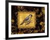 Bird on Black Background-Maria Rytova-Framed Premium Giclee Print