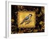 Bird on Black Background-Maria Rytova-Framed Giclee Print