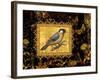 Bird on Black Background-Maria Rytova-Framed Giclee Print