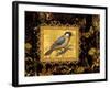 Bird on Black Background-Maria Rytova-Framed Giclee Print