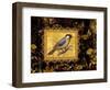 Bird on Black Background-Maria Rytova-Framed Premium Giclee Print