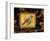 Bird on Black Background-Maria Rytova-Framed Premium Giclee Print