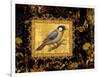 Bird on Black Background-Maria Rytova-Framed Premium Giclee Print