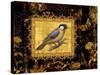 Bird on Black Background-Maria Rytova-Stretched Canvas