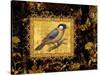 Bird on Black Background-Maria Rytova-Stretched Canvas