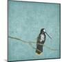 Bird On Branch 2-Jace Grey-Mounted Art Print