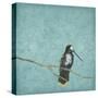 Bird On Branch 2-Jace Grey-Stretched Canvas