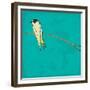 Bird On Branch 4-Jace Grey-Framed Premium Giclee Print