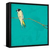 Bird On Branch 4-Jace Grey-Framed Stretched Canvas