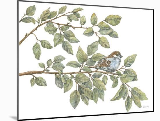 Bird on Branch I-Leslie Trimbach-Mounted Art Print